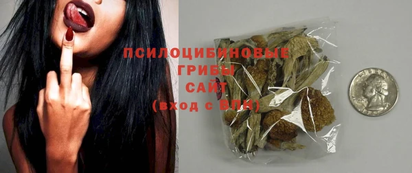 стафф Козельск