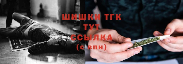 шишки Киренск