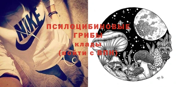 стафф Козельск