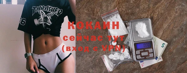стафф Кодинск