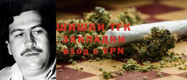 стафф Кодинск