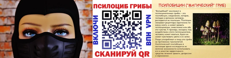 Галлюциногенные грибы MAGIC MUSHROOMS  дарнет шоп  Павловск 
