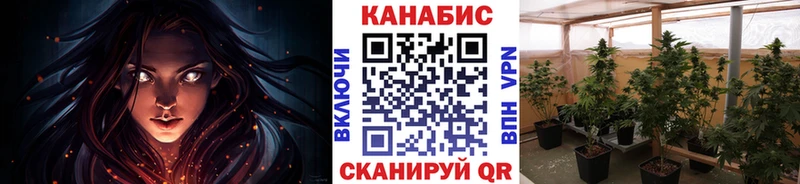 Канабис AK-47 Павловск